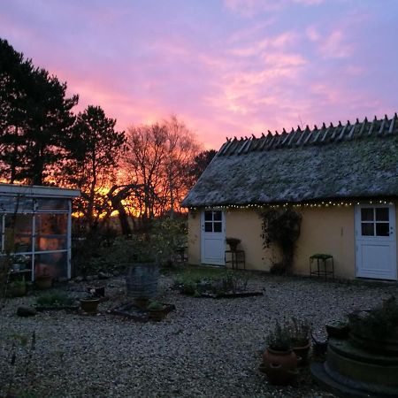 Bella Bed And Breakfast Stevns Arnoje Bagian luar foto